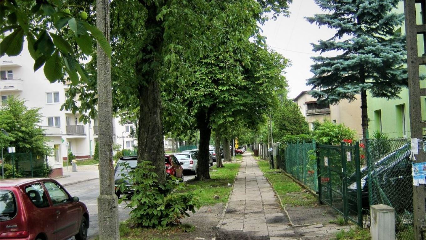 fot. ZDM - grafika artykułu