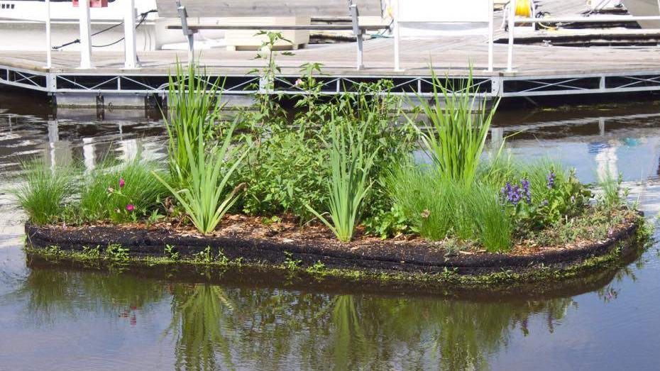 fot. Poznan.pl - grafika artykułu