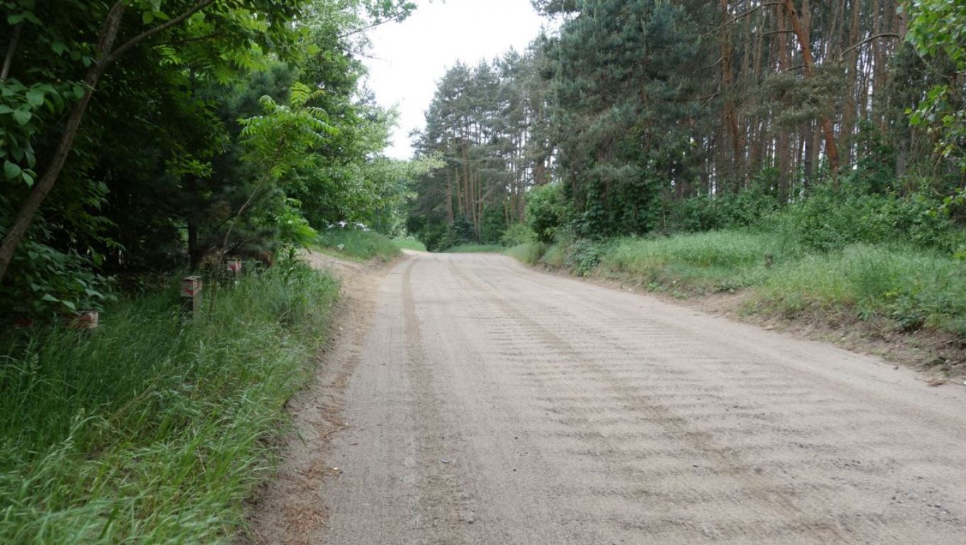 fot. ZDM - grafika artykułu