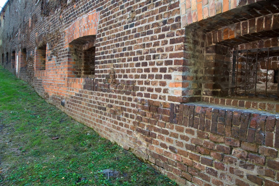 fot. Poznan Film Commission - grafika artykułu