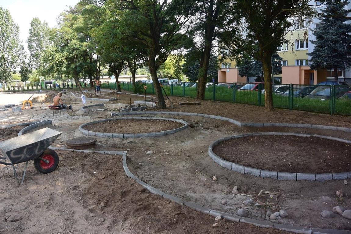 fot. Henryk Józefowski - grafika artykułu