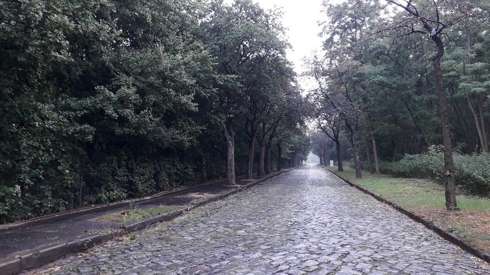 Ulica Henryka Jordana, Fot. M. Malinowski, © Wydawnictwo Miejskie Posnania - grafika artykułu