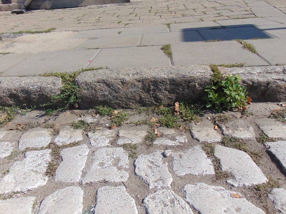 Fot. Rada Osiedla Wilda - grafika artykułu