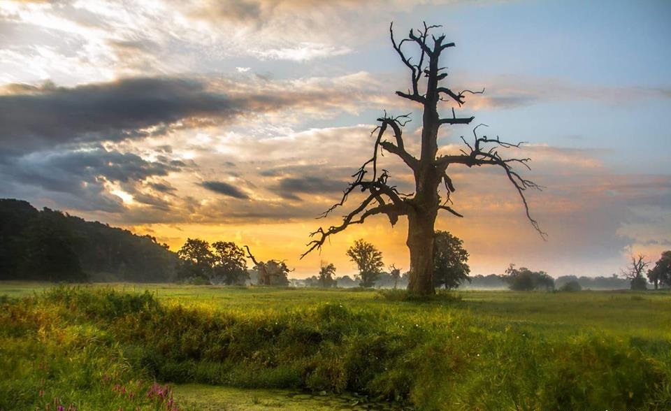 Fot. Ewelina Jaśkowiak - grafika artykułu