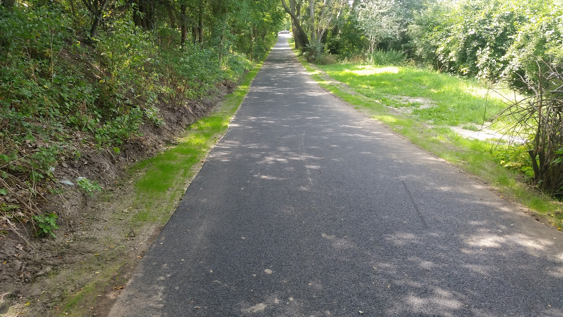 fot. Poznan.pl - grafika artykułu