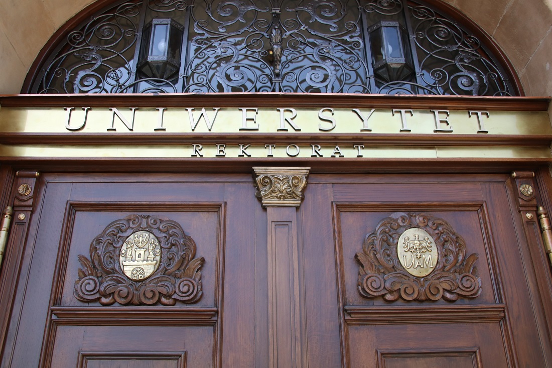 fot. Przemysław Stanula - grafika artykułu