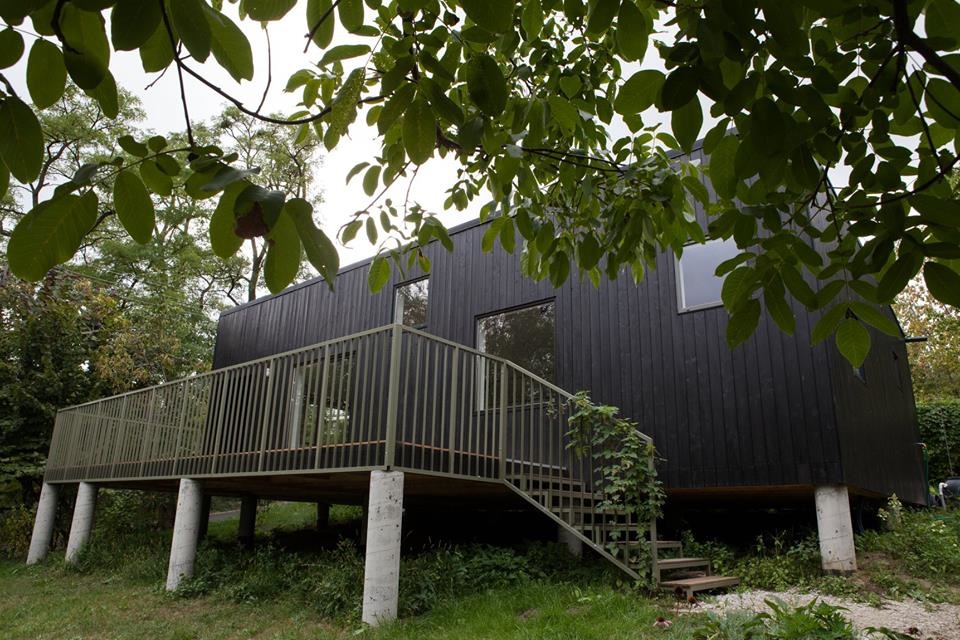 Fot. materiały organizatorów - grafika artykułu