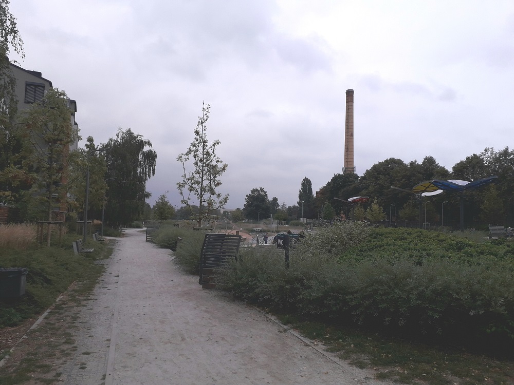 Fot. Mateusz Malinowski - grafika artykułu