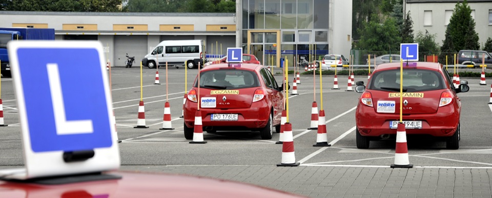 Fot. WORD Poznań - grafika artykułu