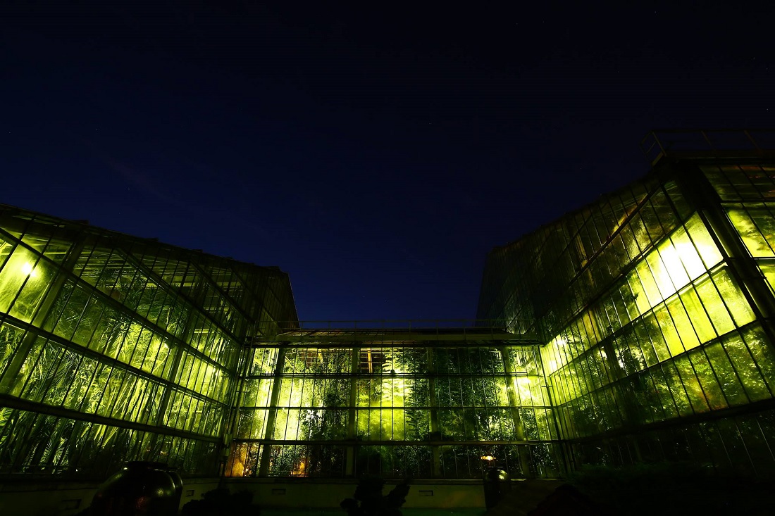 Fot. Palmiarnia Poznańska - grafika artykułu