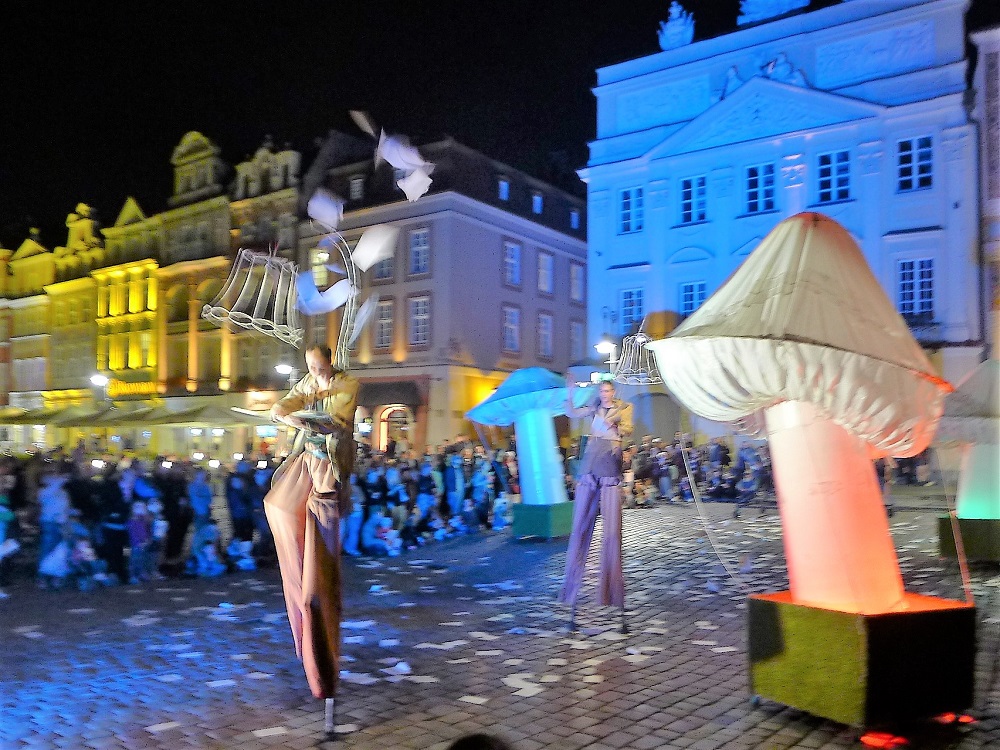 Fot. materiały organizatorów - grafika artykułu