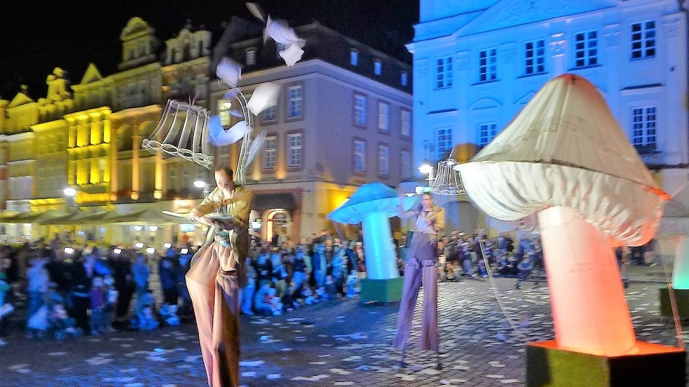 Fot. materiały organizatorów