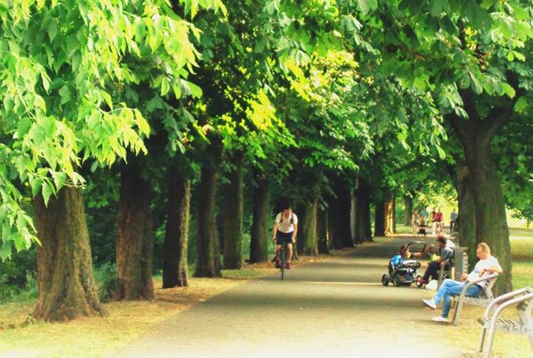 Fot. materiały organizatorów - grafika artykułu