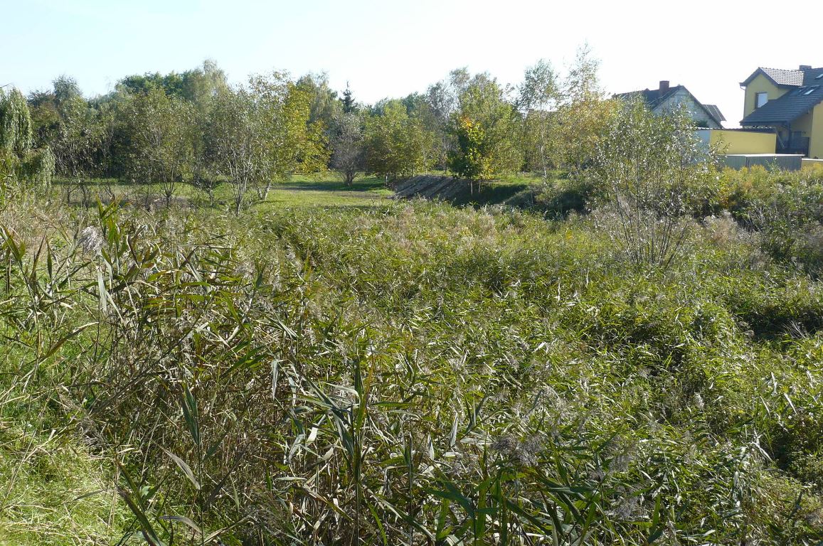 Dolina Krzyżanki, fot. MOs810/ Wikipedia - grafika artykułu