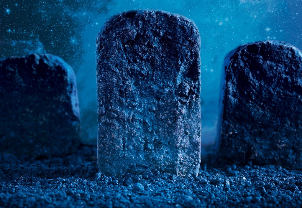 Fot. materiały organizatorów - grafika artykułu