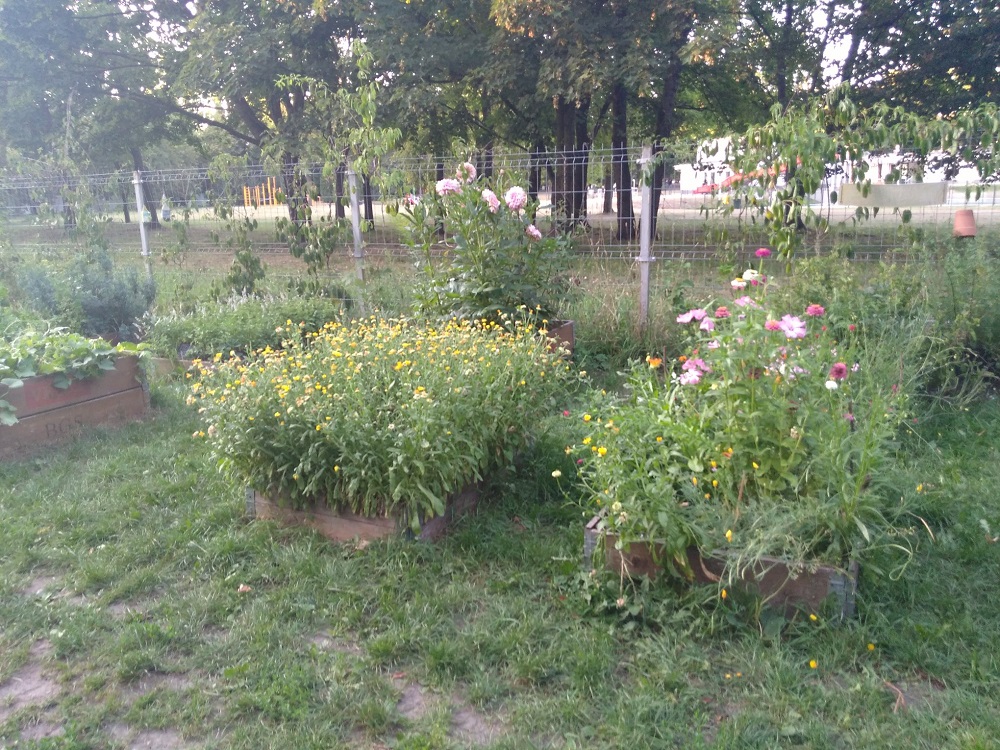 Fot. Kolektyw Kąpielisko - grafika artykułu