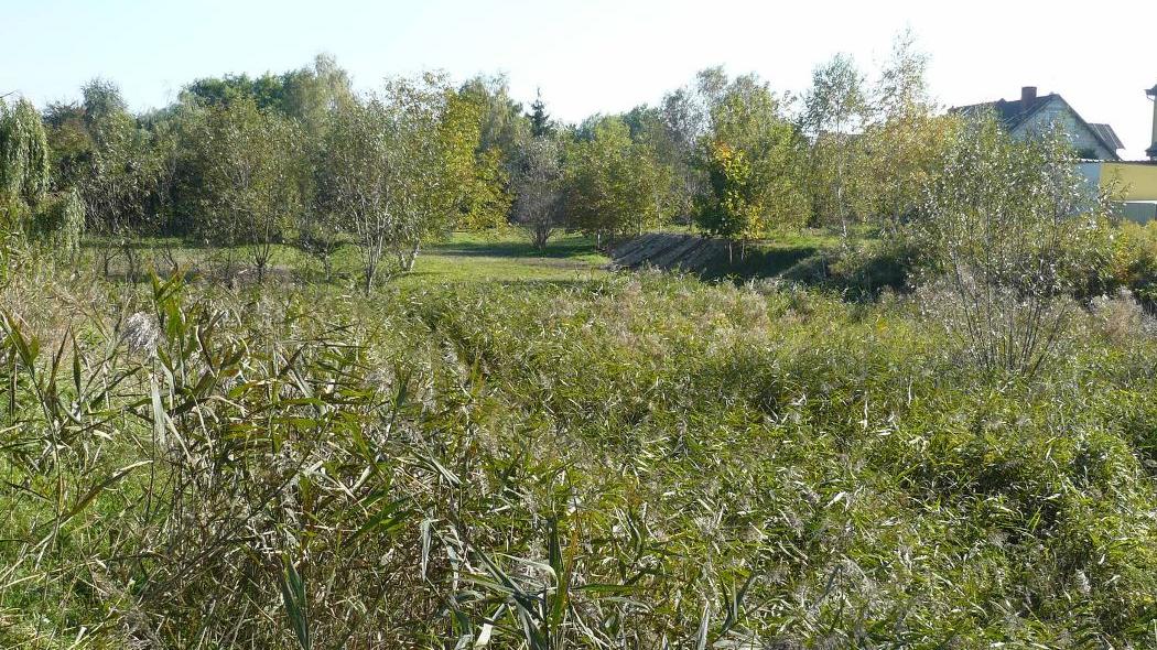 Dolina Krzyżanki, fot. MOs810/ Wikipedia - grafika artykułu