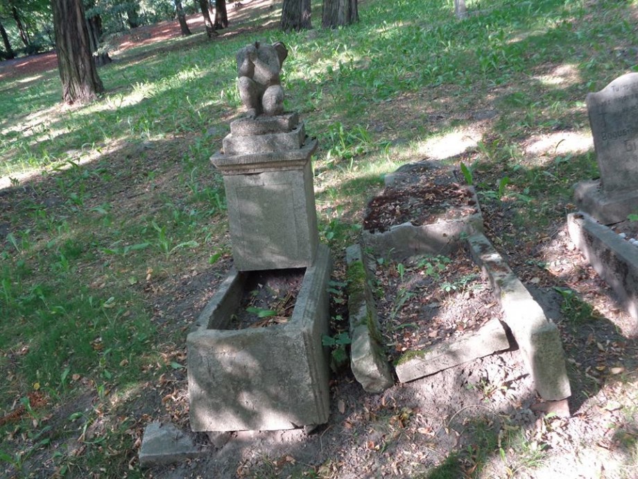 Fot. materiały organizatorów - grafika artykułu