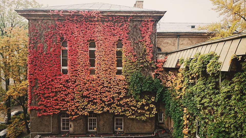 Fot. Grzegorz Dąbkowicz OP - grafika artykułu