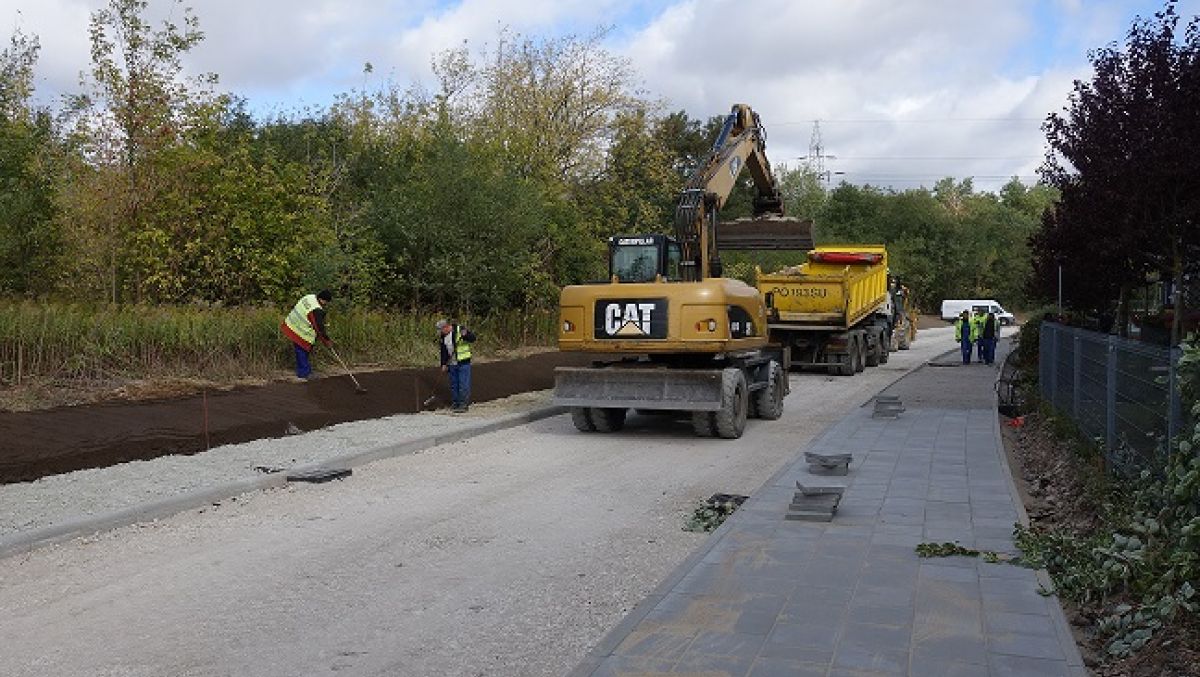 fot. ZDM - grafika artykułu