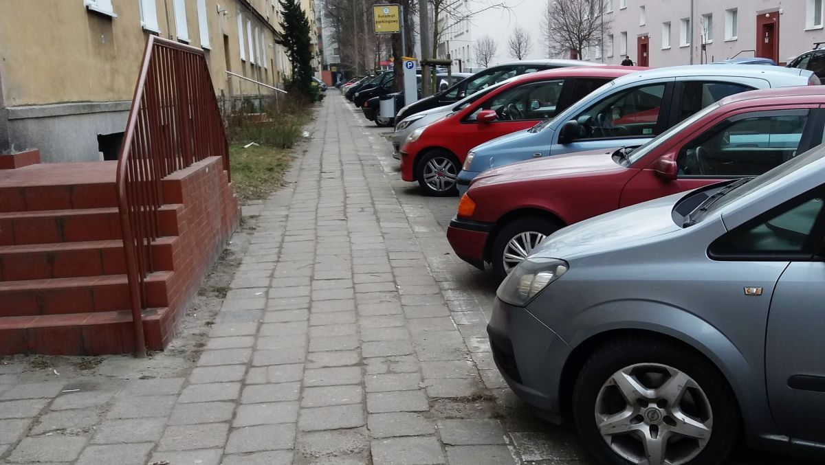 fot. ZDM - grafika artykułu