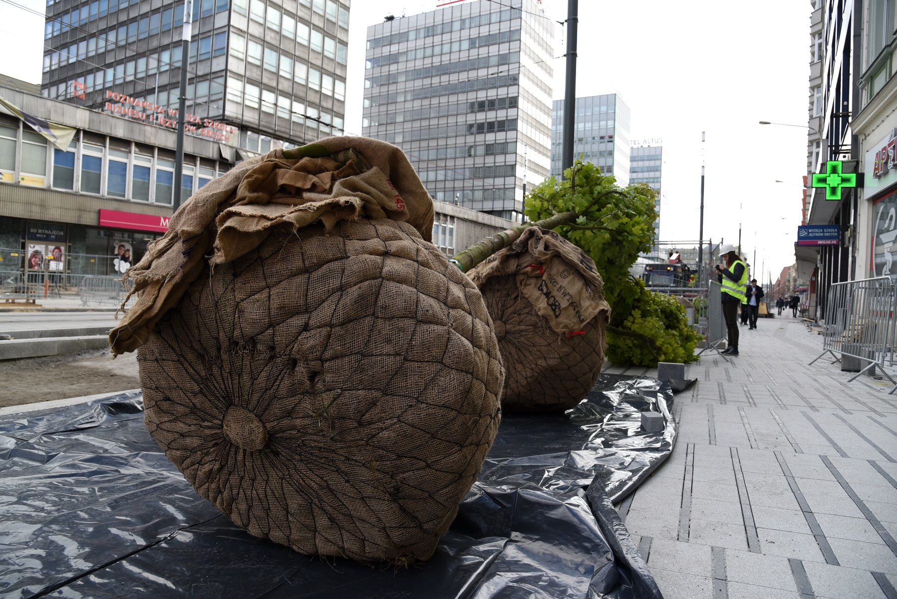 fot. Poznan.pl - grafika artykułu