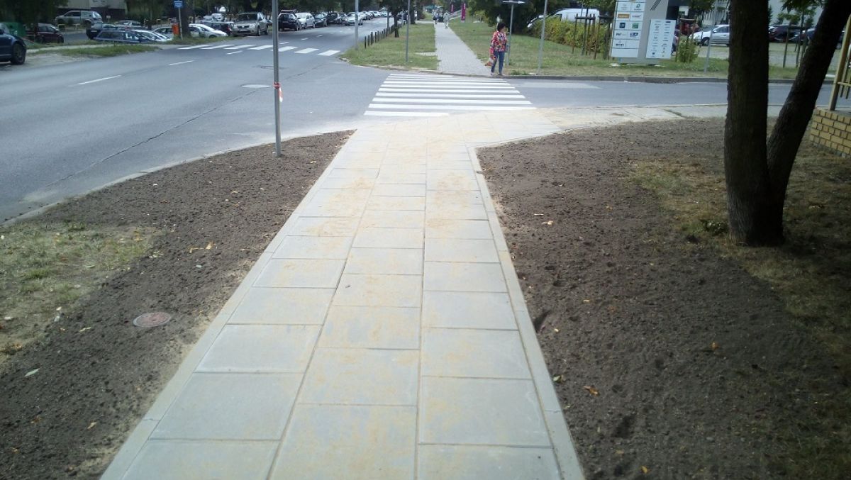 fot. ZDM - grafika artykułu