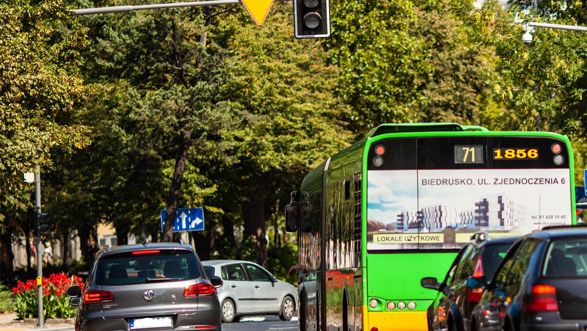 fot. ZDM - grafika artykułu