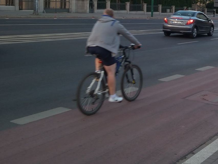 fot. ZDM - grafika artykułu