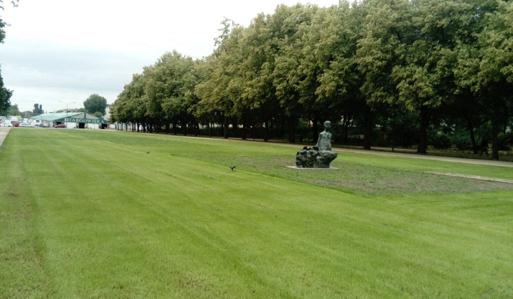 Skwer Sprawiedliwych Wśród Narodów Świata, fot. Urząd Miasta Poznania - grafika artykułu