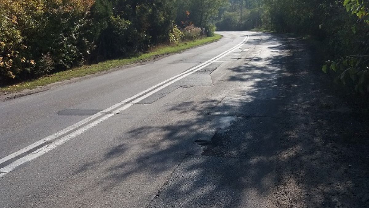 fot. ZDM - grafika artykułu