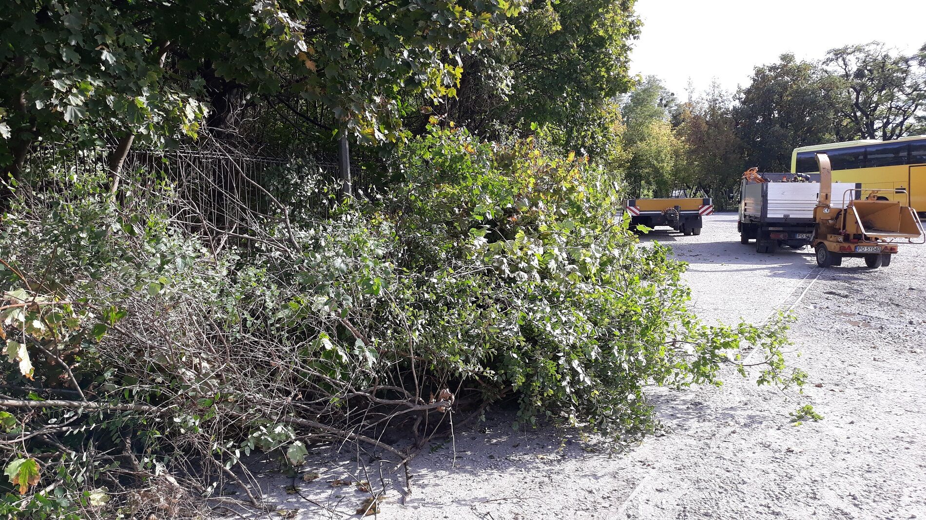 fot. Poznan.pl - grafika artykułu