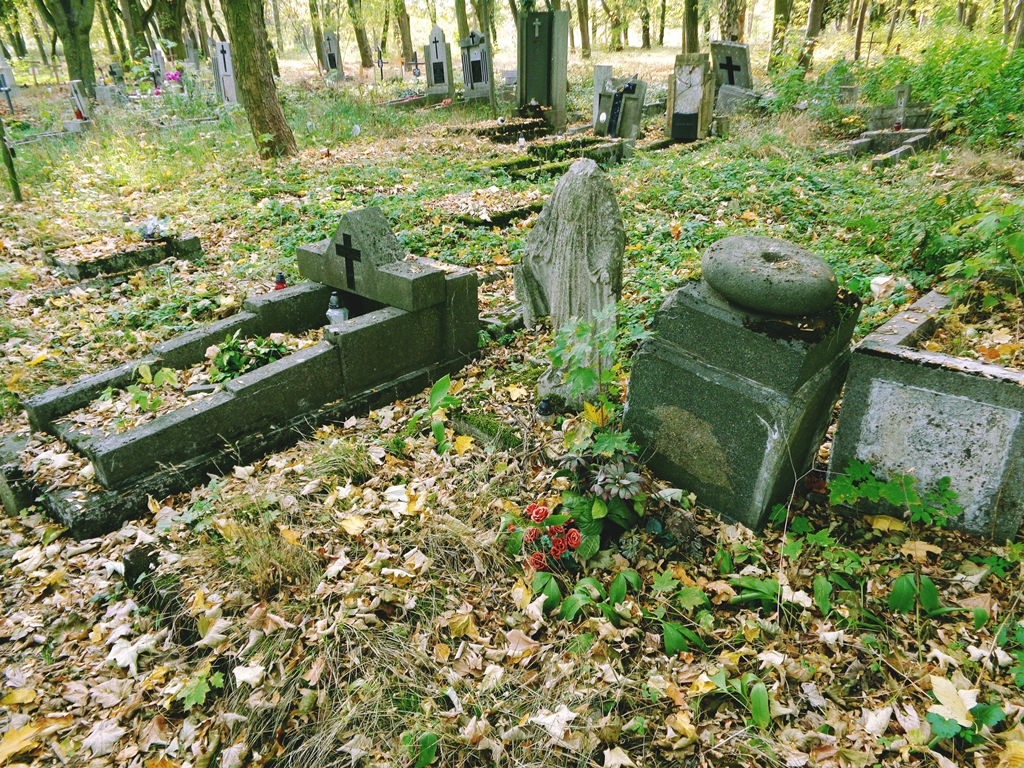 Fot. Adam Suwart © Wydawnictwo Miejskie Posnania - grafika artykułu