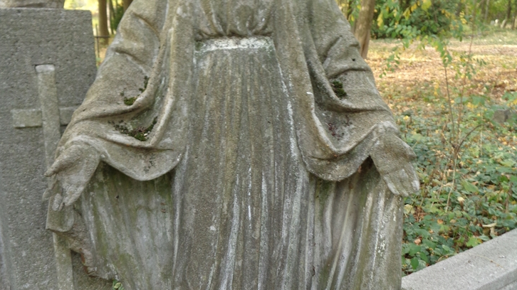 Fot. Adam Suwart © Wydawnictwo Miejskie Posnania