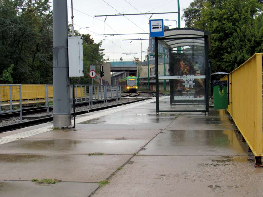 fot. ZTM Poznań - grafika artykułu