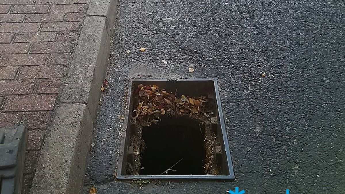 fot. ZDM Poznań - grafika artykułu