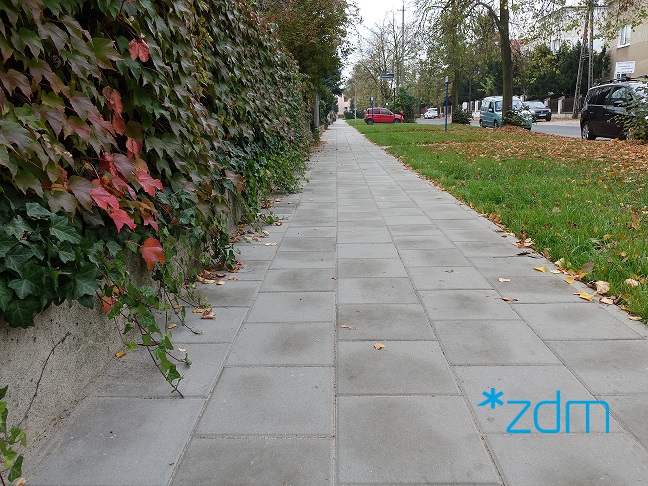 fot. ZDM Poznań - grafika artykułu