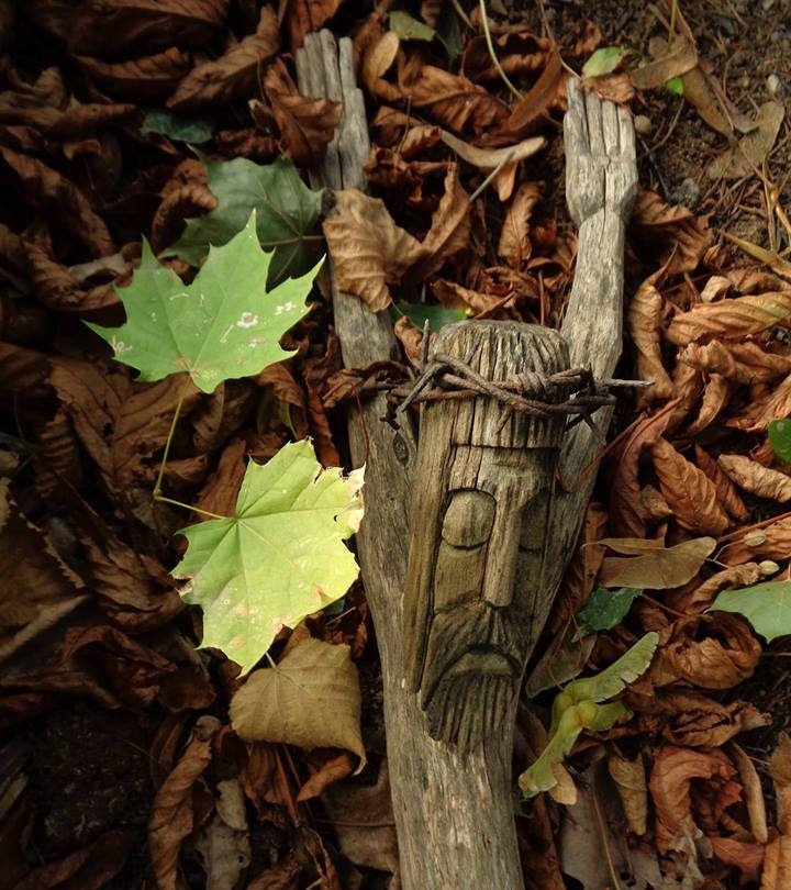 Fot. materiały organizatorów - grafika artykułu