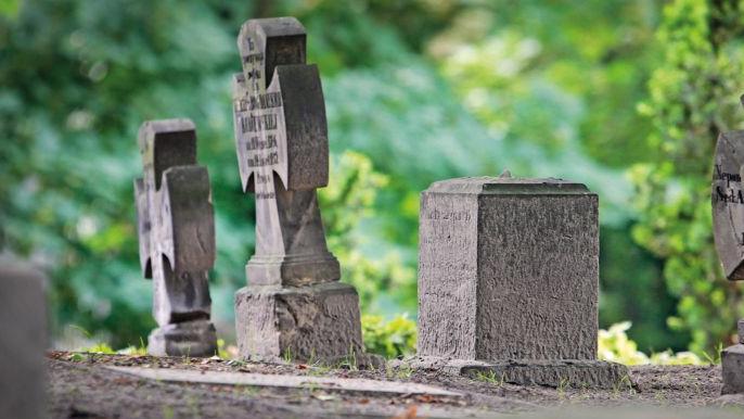 Cmentarz Zasłużonych Wielkopolan, fot. Piotr Skórnicki - grafika artykułu