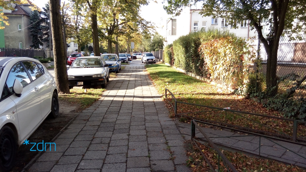 fot. ZDM - grafika artykułu