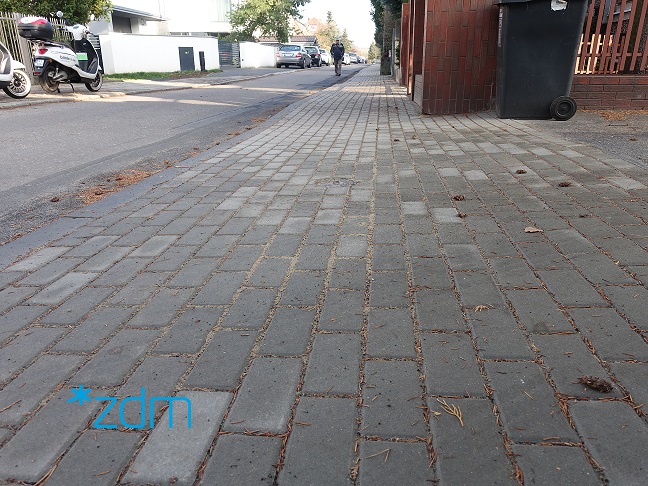 fot. ZDM Poznań - grafika artykułu