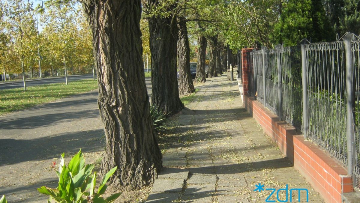 fot. ZDM Poznań - grafika artykułu