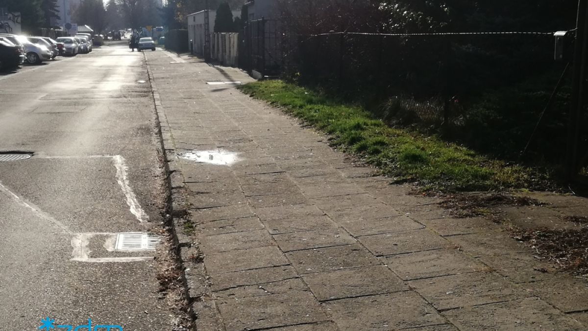 fot. ZDM Poznań - grafika artykułu