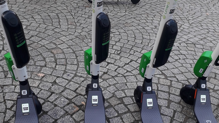 Fot. Mateusz Malinowski