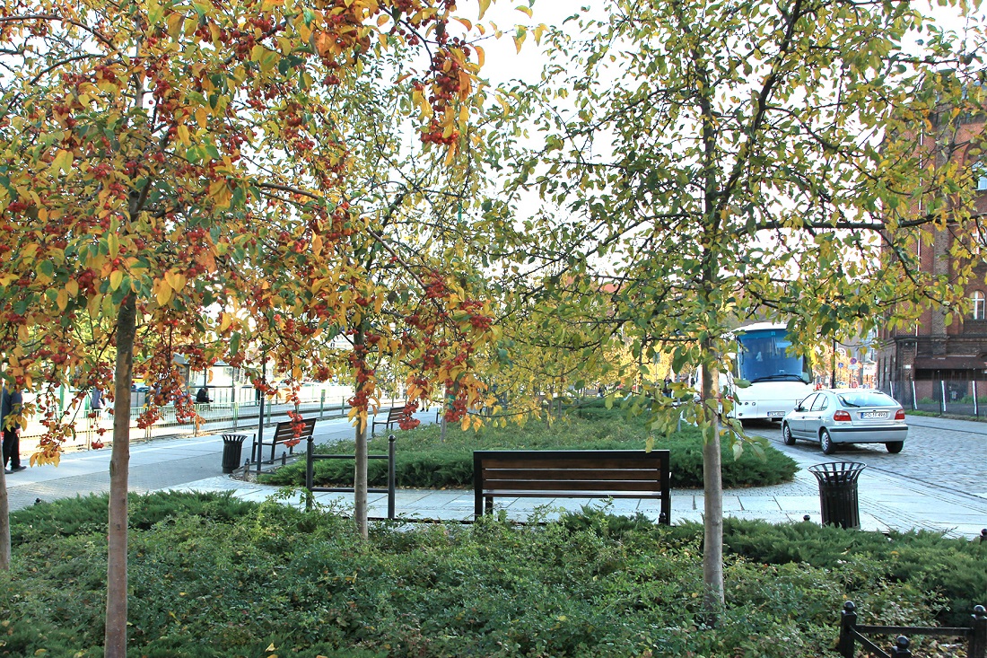 Fot. Zbigniew Szmidt - grafika artykułu