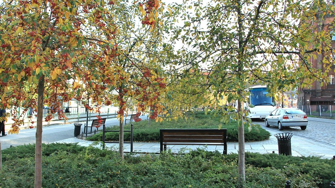 Fot. Zbigniew Szmidt