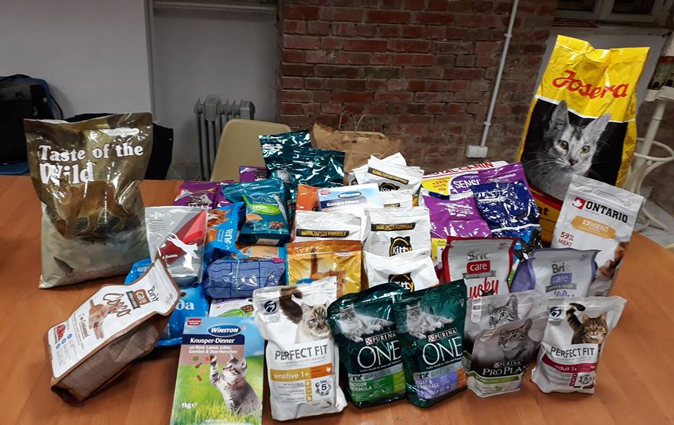 Fot. Rada Osiedla Wilda - grafika artykułu