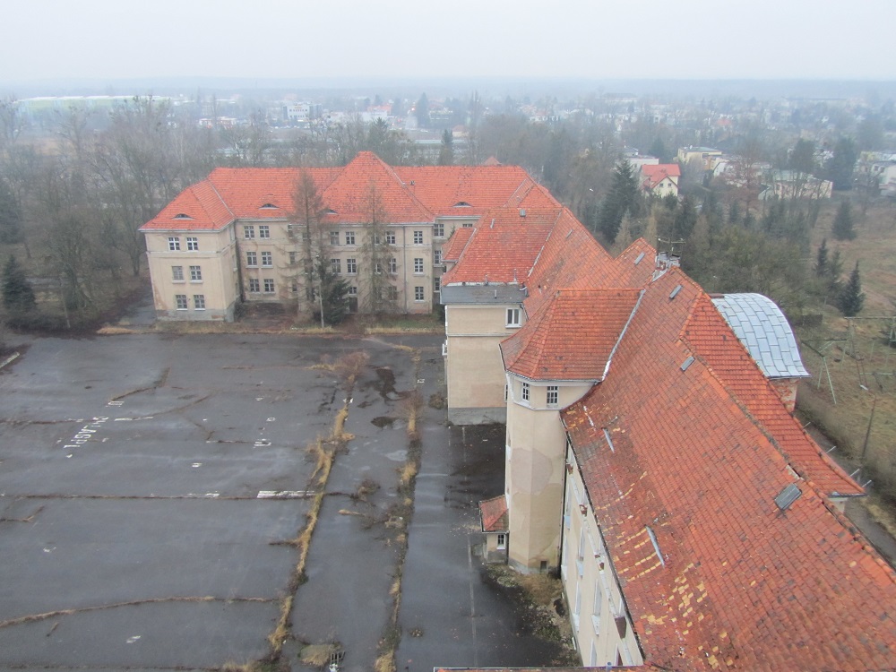 Fot. M. Malinowski - grafika artykułu