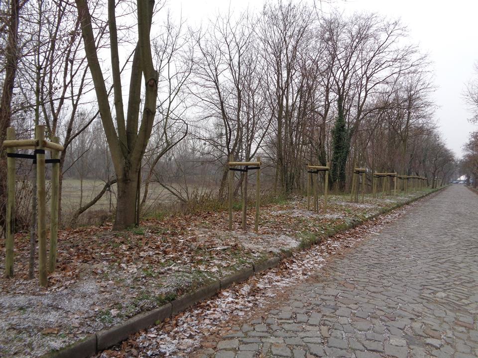 Fot. Społeczny Opiekun Zabytków - grafika artykułu