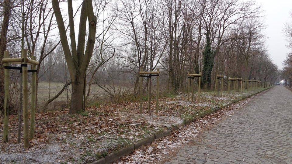 Fot. Społeczny Opiekun Zabytków